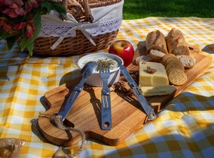 Make the Most of Summer Picnic with Roxon’s Camping Tools and Outdoor Gear - ROXON INC.