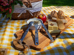 Make the Most of Summer Picnic with Roxon’s Camping Tools and Outdoor Gear - ROXON INC.