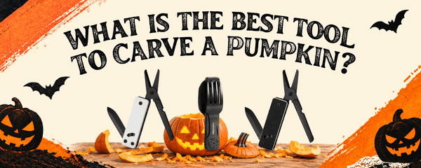 ROXON Best Tool To Carve A Pumpkin