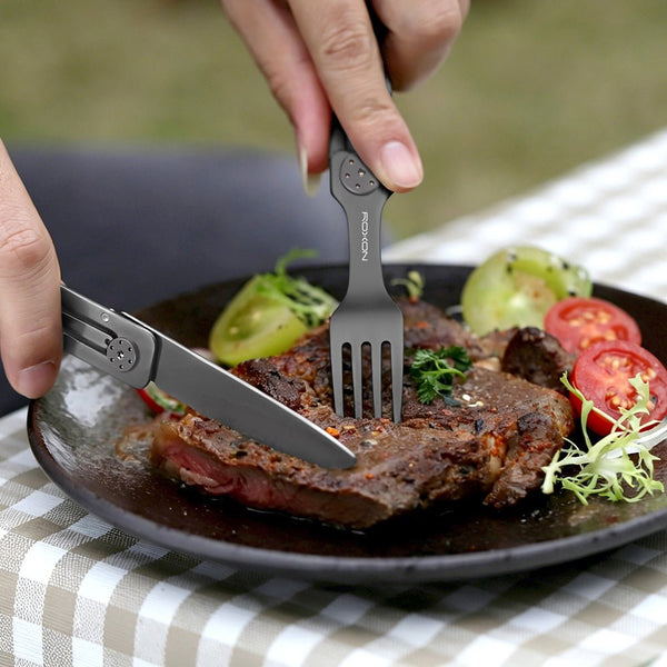 C1S 3-in-1 Folding Cutlery Travel Set - ROXON